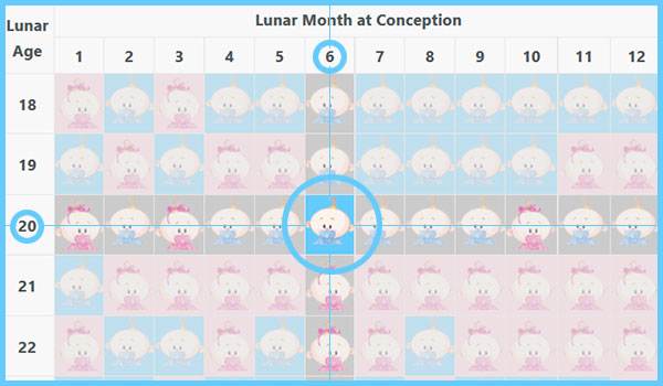 Chinese Gender Predictor, Birth Calendar, Pregnancy Chart ...