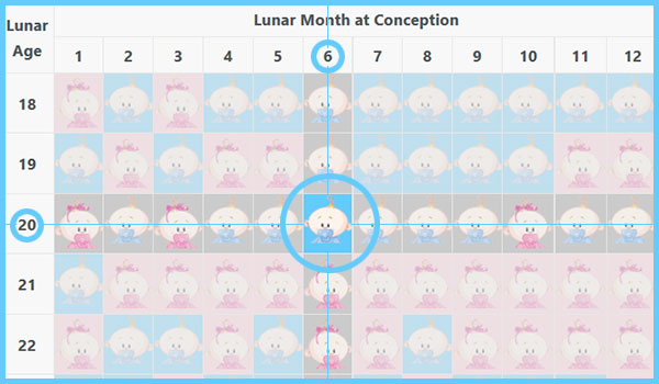 Accuracy Of Chinese Gender Prediction Chart