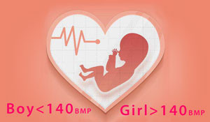baby heart rate gender chart